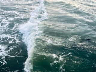 Natural waved sea surface, waved sea water background