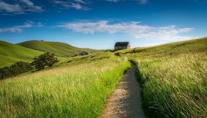 Obraz premium road in the countryside