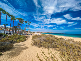 Aerial drone view of Costa Calma beach during the sunset,Fuerteventura, Canary Islands