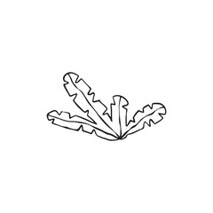 Tropical fantasy plant in hand drawn sketch style. Childish simple vector illustration. Black marker isolated on white background.