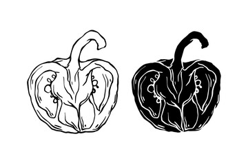 Line sketch, stamp, stencil of sweet pepper vegetables. Vector graphics.