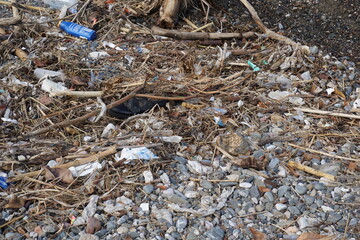 trash on the beach after a storm