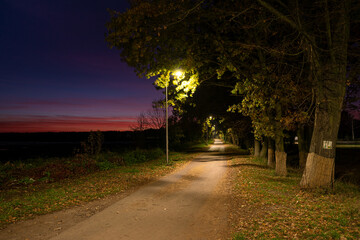 Aleja nocą