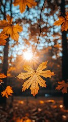 Golden autumn leaves glisten in sunlight filtering through trees at a serene park during fall