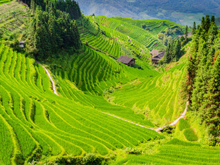 Stunning landscape with terraced rice fields around Longji village, Longsheng county, Guilin, Guangxi, China