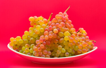 Plate with kishmish (sultana) grapes on a red background