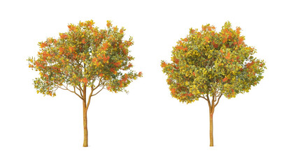 Set of Realistic Trees Showcasing Autumn Foliage in Vibrant Colors Generative AI