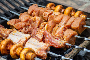 Grilled pieces of pork meat and mushrooms on metal skewers. Shashlik or shish kebab prepared on barbecue grill over hot charcoal with grilled vegetables.
