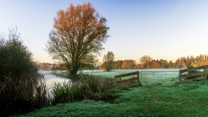 Fototapeta premium Rise and Mist: Leiden's Foggy Sunrise