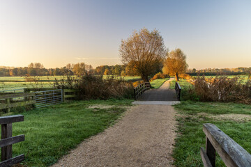 Fototapeta premium Autumn landscape in the Dutch park