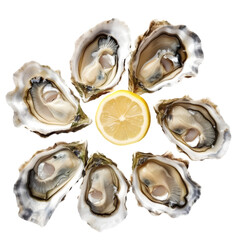 Several oysters with a touch of lemon garnish, isolated on white background
