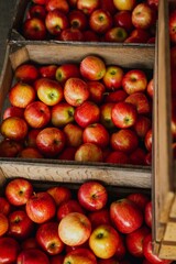 Apples in Wooden Crate