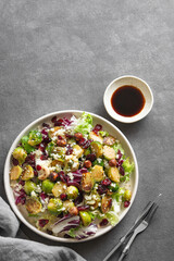 Vegetarian salad of roasted brussels sprouts with lettuce, quinoa, nuts and cranberries in a plate
