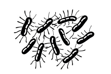 Obraz premium Colony of bacteria with flagella line art illustration