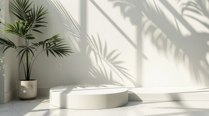 Fototapeta premium Geometric platform, minimalist white room, cylinder podium, palm leaf shadows, serene product display