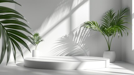 Fototapeta premium Geometric platform, minimalist white room, cylinder podium, palm leaf shadows, serene product display