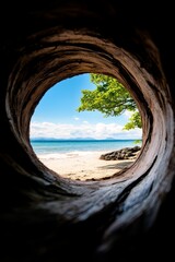 A view of the ocean through a hole in a tree