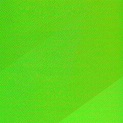 Green background for Banner, ad, party, events, Poster, Celebrations and various design works