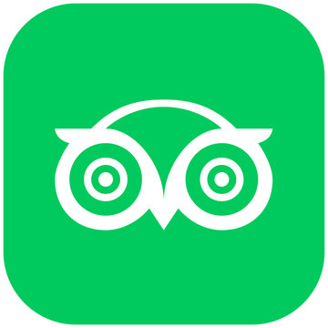 Tripadvisor icon. Social media icon. Popular social media logo. Stock vector editorial. UKRAINE, KHARKIV, 2 NOVEMBER 2024