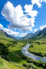 Obraz premium A river running through a lush green valley under a blue sky