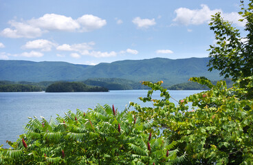 Islands in South Holston Lake