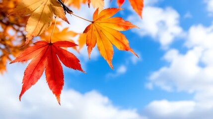 A close up of a red and yellow leaf against a blue sky