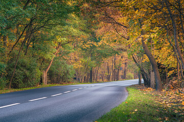 Obraz premium droga przez kolorowy jesienny las