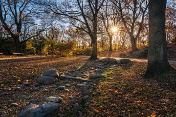 Słońce przebijające się przez kolorowe liście jesiennych drzew © af-mar
