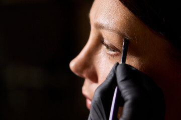 Obraz premium Eyebrow Styling Techniques Using Precision Tools During a Comprehensive Beauty Session