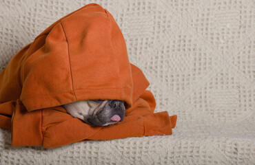 A bulldog dog is covered with a large hooded orange hoodie and is resting with his tongue out.