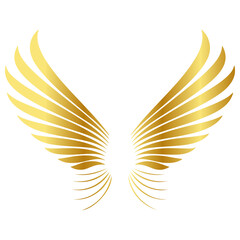 Obraz premium golden wings