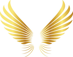 Obraz premium golden wings