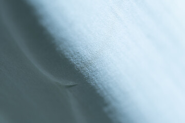 Fototapeta premium artistic background detail of an agave plant. It is an out of focus background with a mark of a thorn marked in focus. The tones are bluish and green. Tequila production plant