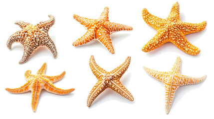 Varied Collection of Starfish Featuring Various Patterns and Colors Generative AI
