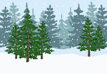 Snow forest with evergreen tress. Winter forest