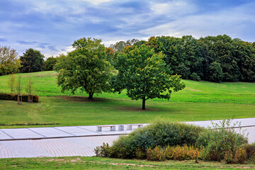A beautiful city park with bushes and trees.