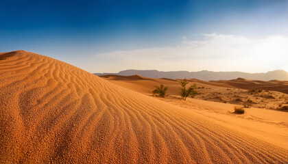 Obraz premium Close-Up of a Desert Landscape