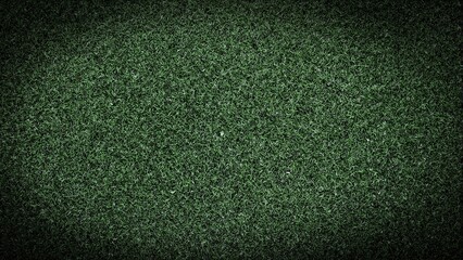 Lush green rosemary leaves creating a rustic Mediterranean vibe