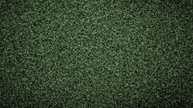 Lush green rosemary leaves creating a rustic Mediterranean vibe