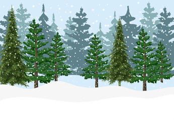 Snow forest illustration with spruce trees