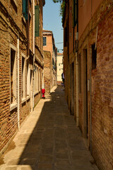Venice and its canals ,boats,sculptures and birds