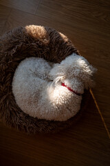 Fluffy white dog curled up in a round bed with sunlight on a wooden floor