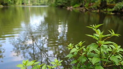 A serene landscape featuring a cluster of trees surrounding a majestic central tree in a field with a peaceful body of water, vegetation, natural