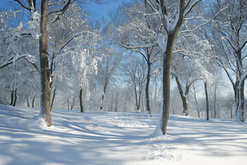 snowy winter daytime landscape with snowy trees and falling snow, generative AI