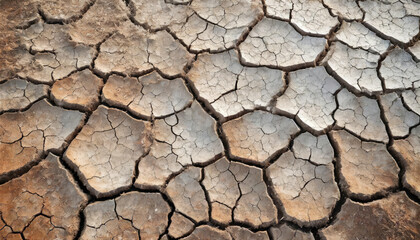 Obraz premium Top view of dry, cracked ground showing weathered soil pattern, perfect for background use