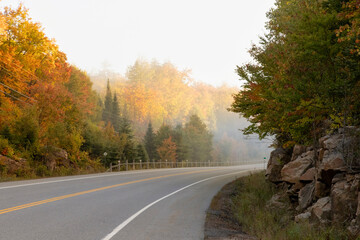 Fototapeta premium Early morning sun illuminating brilliant autumn color along highway 60 in Algonquin Provincial Park Ontario Canada 