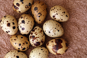 Fototapeta premium Few amount of quail eggs in small pile on brown towel background