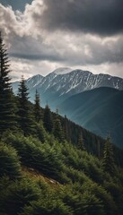 Obraz premium Majestic mountains tower over a serene spruce forest beneath a dramatic sky, showcasing nature beauty at dusk. Towering mountains with rolling hills and moody sky highlighting peaceful wilderness. AI