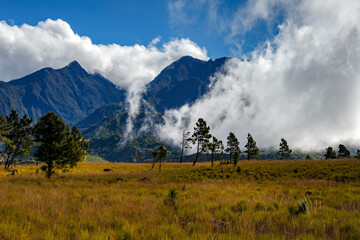 Volcan Barú, Chiriqui Province in Panama