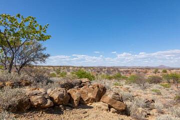  Versteinerter Wald, Namibia